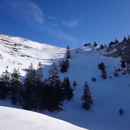 Nice And Cosy Flat Near Geneva Or Annecy 벨가르드쉬르발세린 외부 사진
